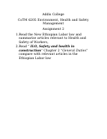 Addis College Safety and Health Assignment 2 .pdf